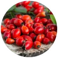 sipky_pro_podporu_imunity