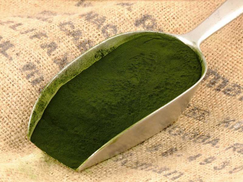 spirulina_obsah_bilkovin_1