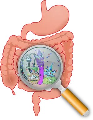 strevni_mikrobiom