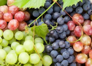 superpotravina_hroznove_vino