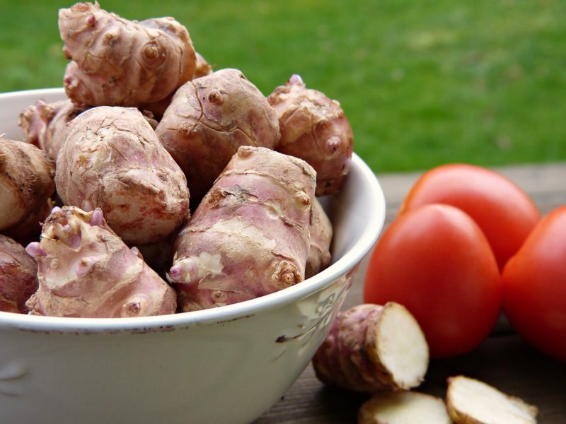 topinambura_zdroj_inulinu_a_probiotik