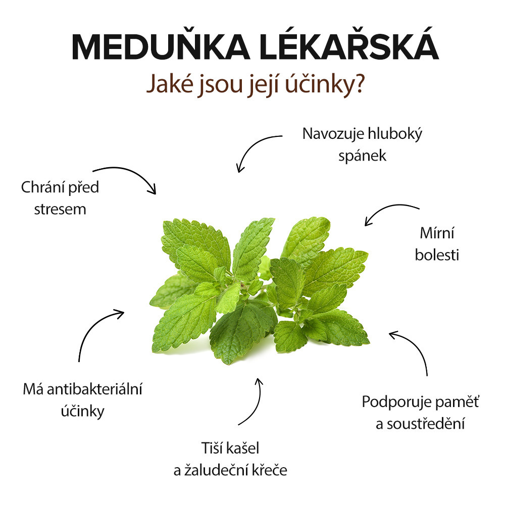 ucinky_medunky_lekarske