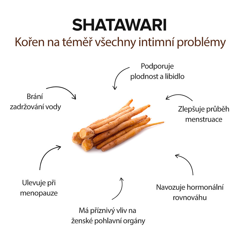 ucinky_shatawari