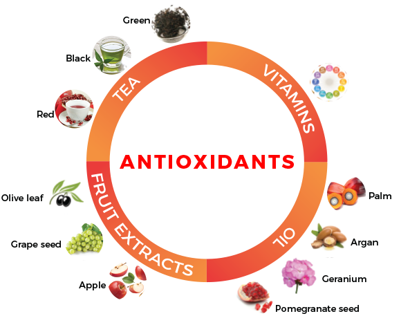 zakladni_deleni_antioxidantu