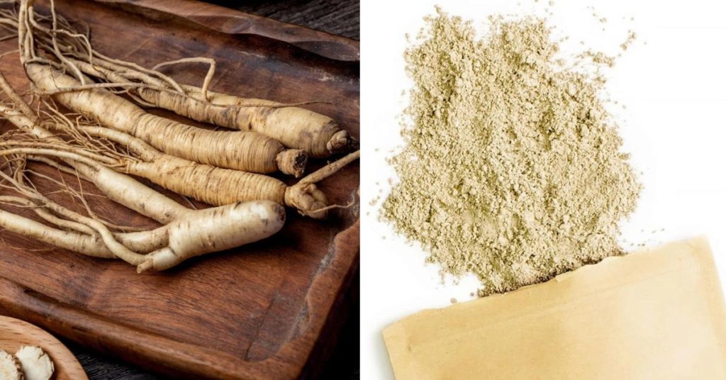 zensen_pravy_panax_ginseng_vsehoj_zensenovy