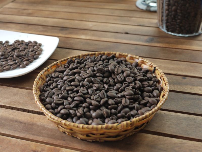 zrna_kavy_robusta