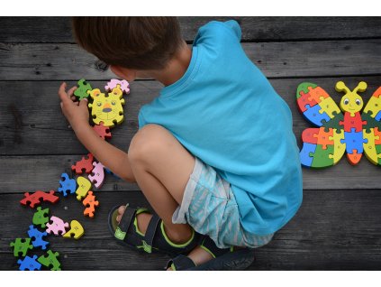 puzzle v akci
