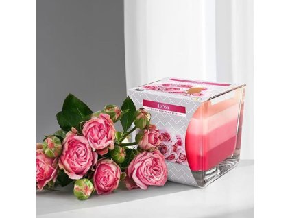 svicka ve skle bispol rose ruze