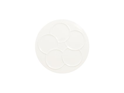 RAK Talíř kulatý, 5 zón 30 cm | RAK-CRRP5Z