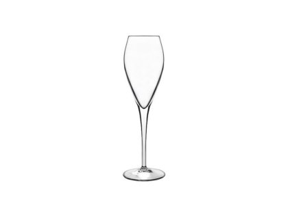 Atelier sklenice na šumivé víno 20 cl