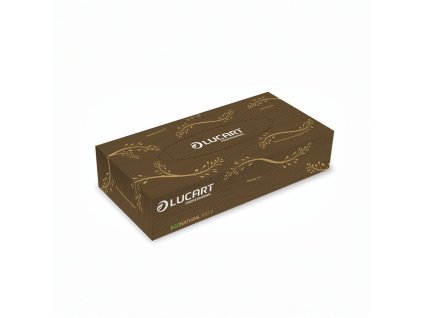 Kosmetické ubrousky ECONATURAL 100 V