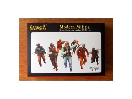 Modern Militia Somalina and Asian Militia 36 fig. 40 9966