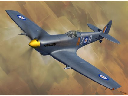 Spitfire Mk.XVIE in International Service 40 6160
