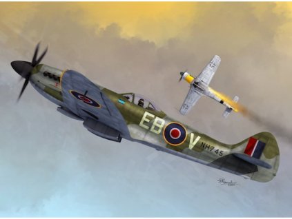 Spitfire Mk.XIV C/E Bubletop 40 10968