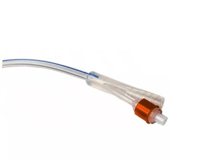 CFNS 2D 16 10 P