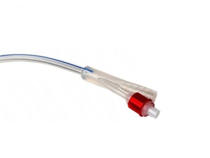 CFNS 2D 18 10 P