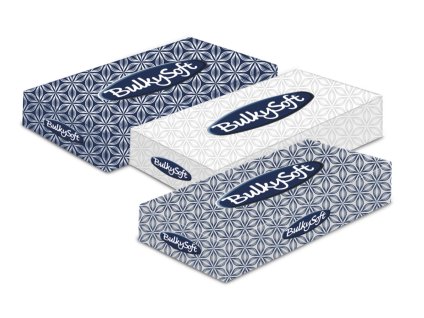 BULKY Soft® CLASSIC kosmetické kapesníky 2vrstvé celulóza, 100 ks
