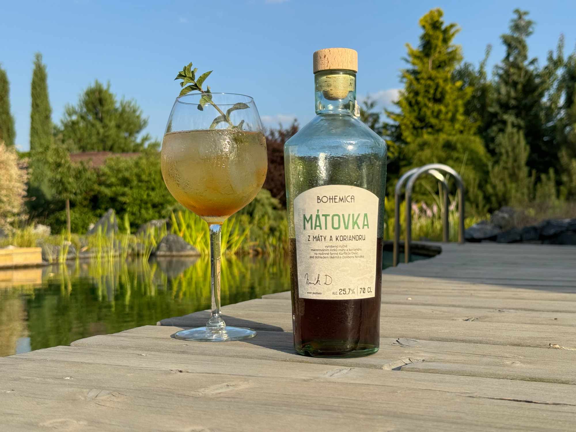 matovka-pro-web-zemensena