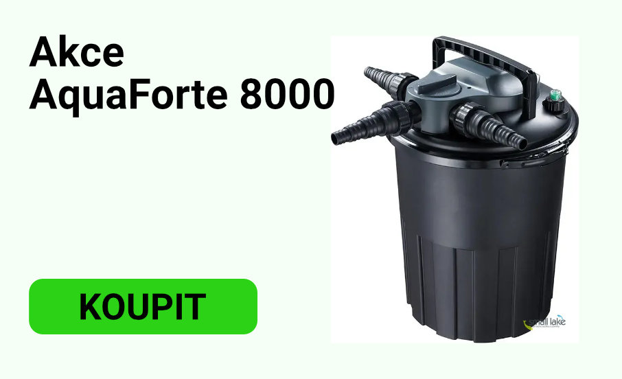 aquaforte