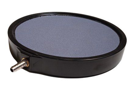 PhotoRoom 20211202 133810