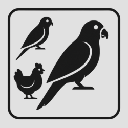 Ptactvo