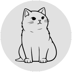 Kočka