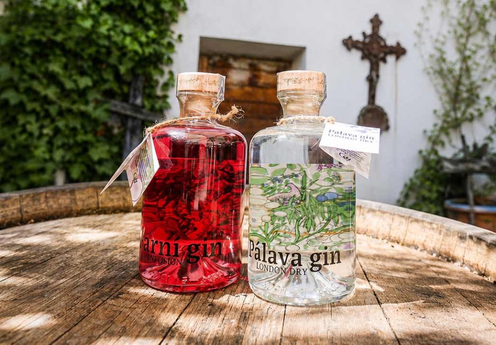 Pálava Gin: Prémiový moravský gin pro milovníky exkluzivního alkoholu