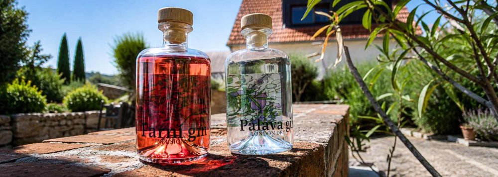Pálava Gin London Dry 0,5l a Farní Gin Infusion – prémiové moravské giny