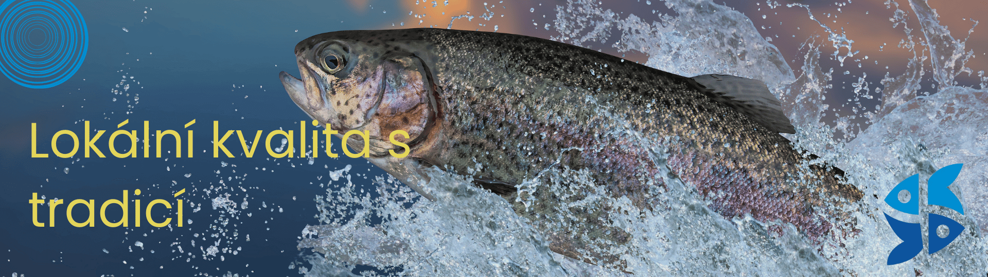 Opočenská rybárna homepage