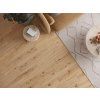 Classen Ceramin 62537 Pro Nature Barranquilla interier 1