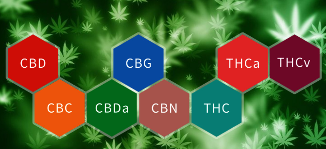 cannabinoid