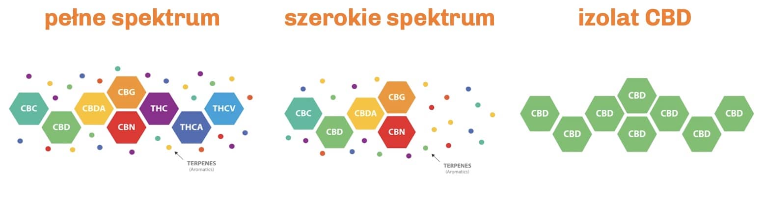 Jaka-jest-roznica-miedzy-olej-mi-CBD-o-roznym-spektrum-dzialania