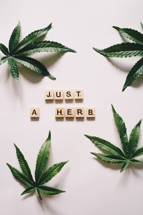 Jak-CBD-moze-pomoc-w-problemach-ze-snem