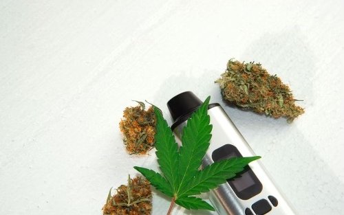Susz-CBD-jak-dziala