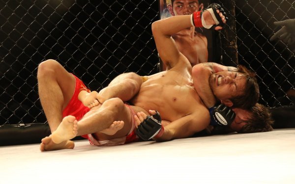 mma-lubi-cbd-dlaczego