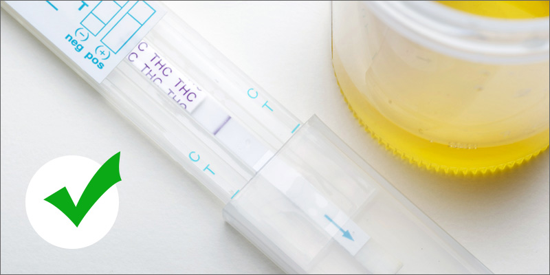 test-thc-z-moczu