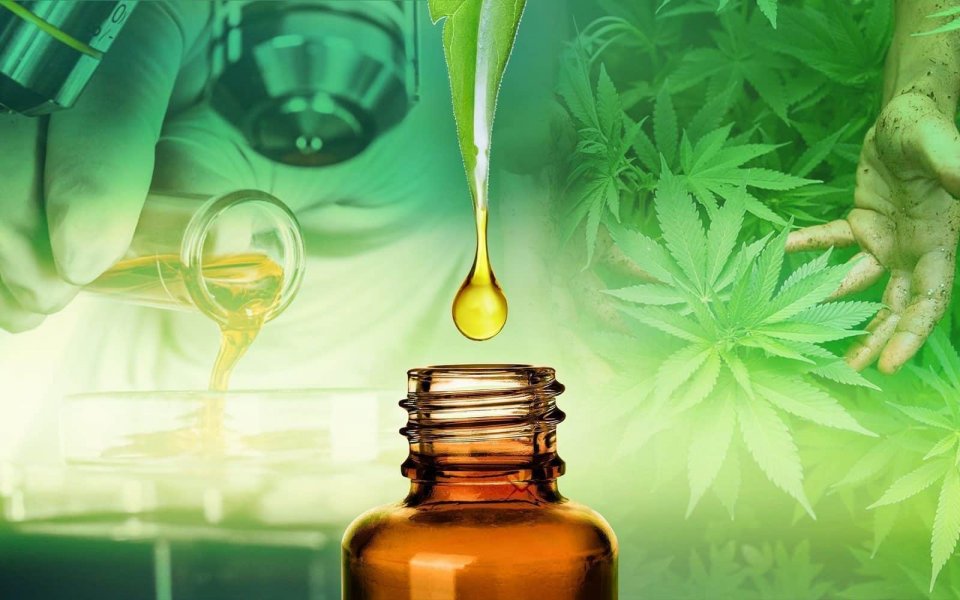 the-8-most-important-cbd-studies-ever-published-hero