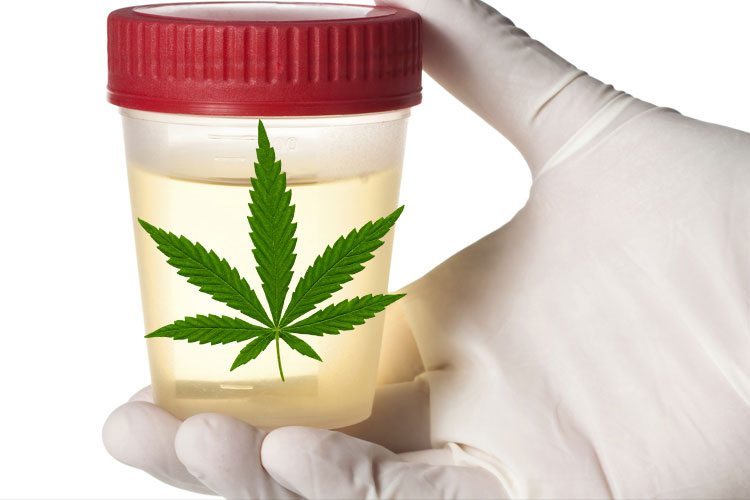 worry-cbd-will-make-fail-drug-test-1