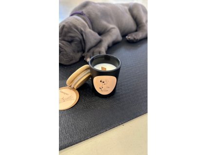 7c0495ca 5e36 4f86 99af 8ef2895a18c3