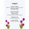 Jarní květiny - básničky s pohybem