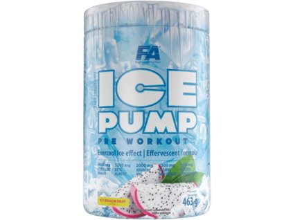 FA ice pump
