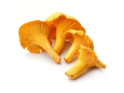 Kuriatka Poľsko