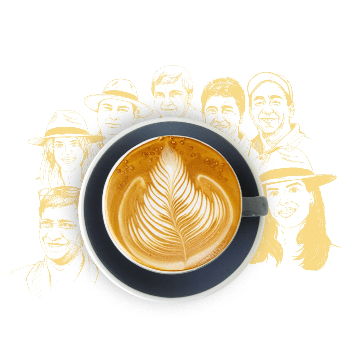 Coffee Beans