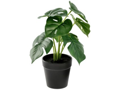 Umelá rastlina Nivia