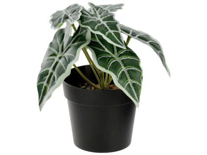 Umelá rastlina Dayana