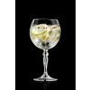 Gin Tonic Glas Melodia