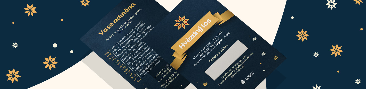 losy-LP_banner