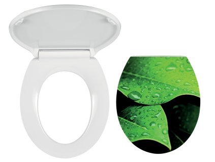 wc soft nature