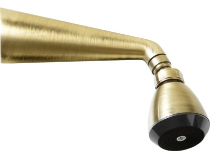 Sapho Nástěnná sprcha s otočným kloubem, bronz 9046