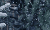 Banner_2